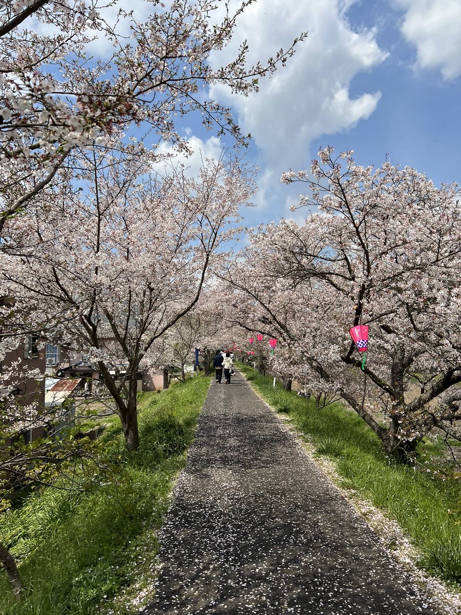 とーか tweet media