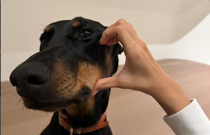 Lalisa Spotify tweet media