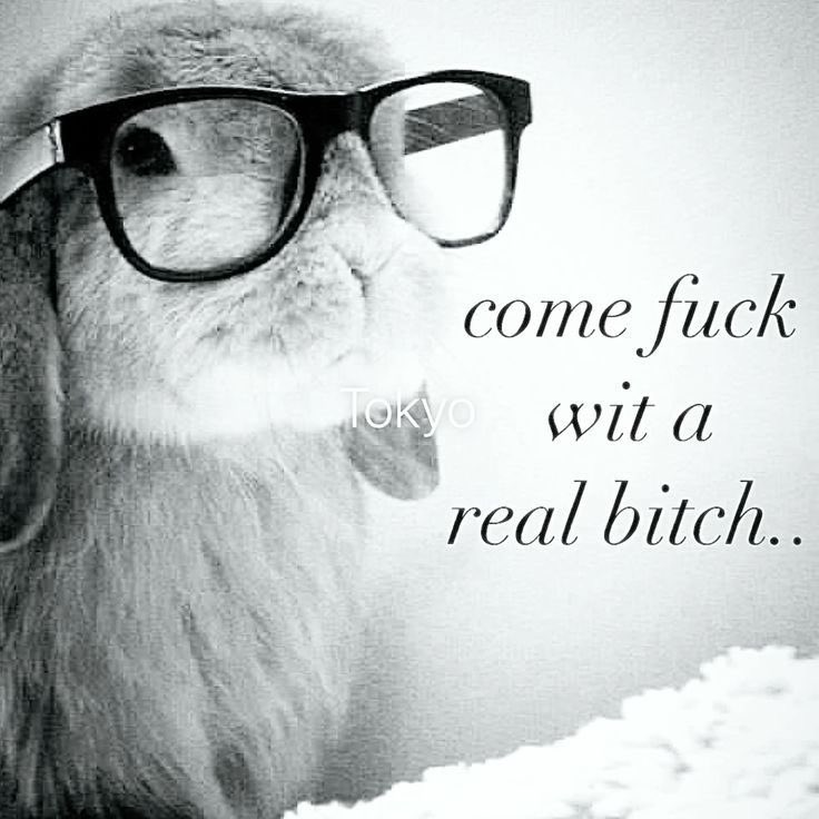 elyusin ♰ tweet media