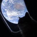 Solana Memes Scanner tweet media