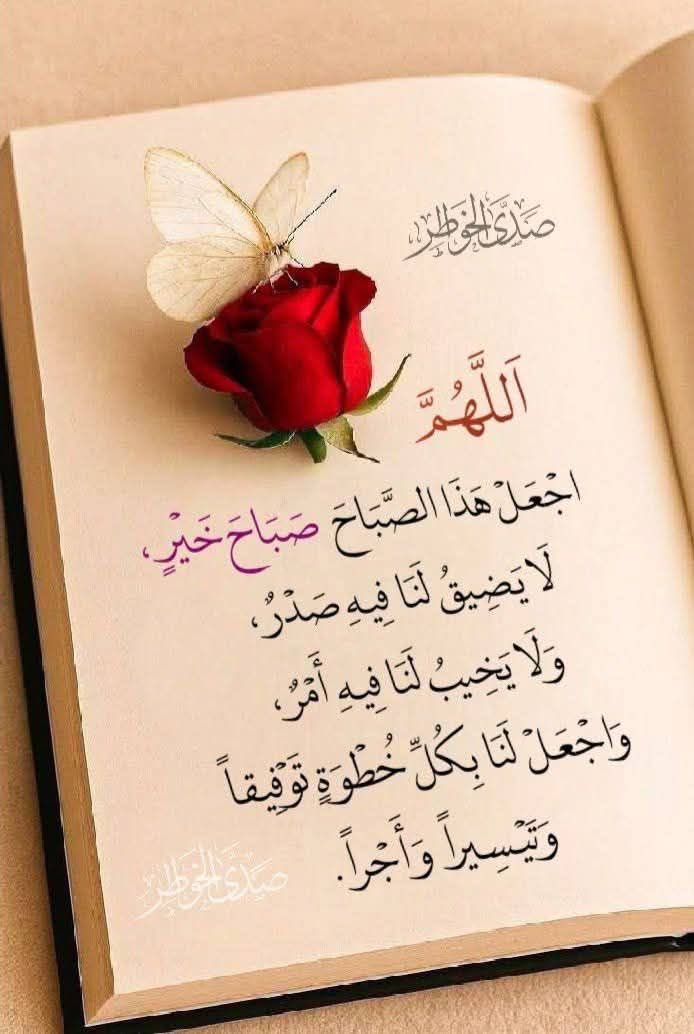 boHamad🇶🇦🇶🇦 tweet media