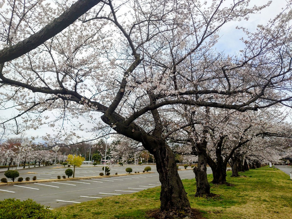 石川 晃 tweet media