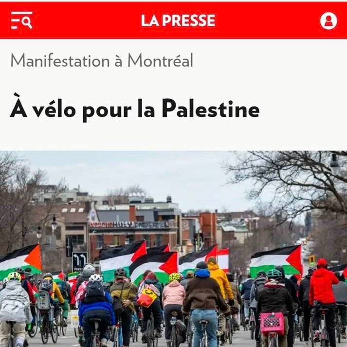 ⚜️ Le Tabarnak ⚜️ tweet media