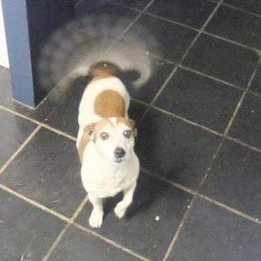 แ
แ
แ
๐๐๐๐๐๐๐ ๐๐ผ๐๐๐. tweet media