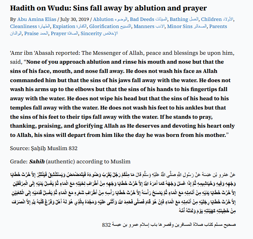 شایان tweet media