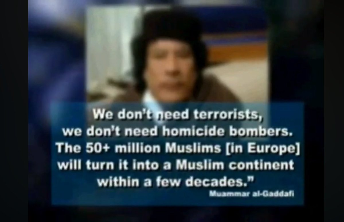 scuba steve tweet media