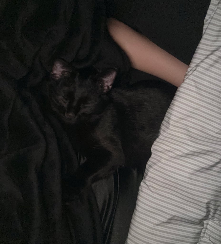 니은이 tweet media