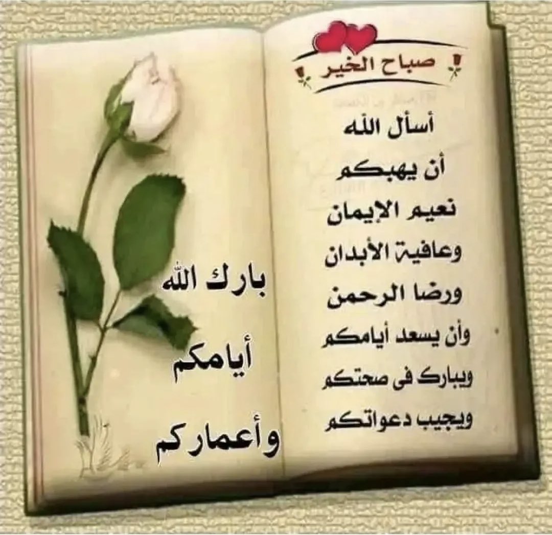 boHamad🇶🇦🇶🇦 tweet media