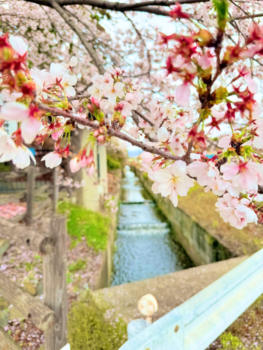 𝓜𝓲𝓲®︎ tweet media