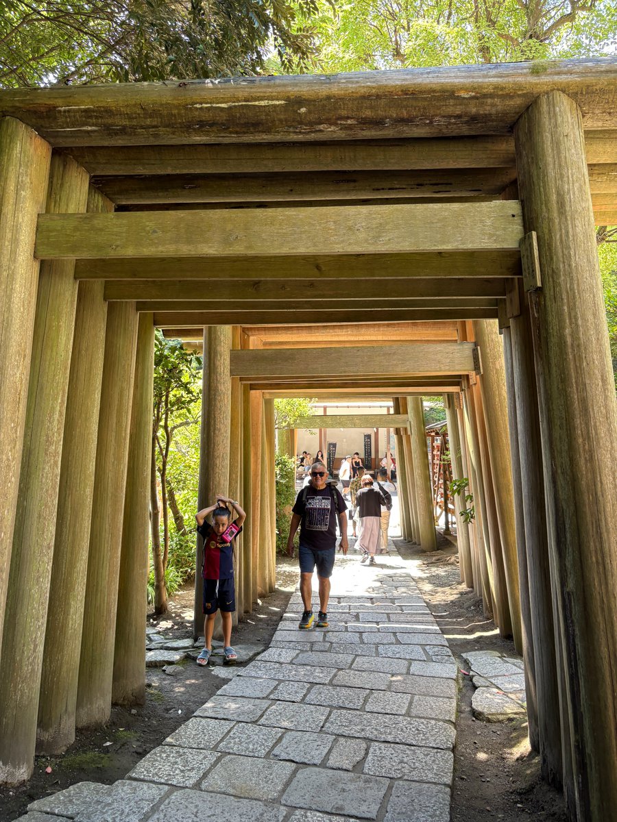 引きこもりの神社仏閣御朱印巡り tweet media