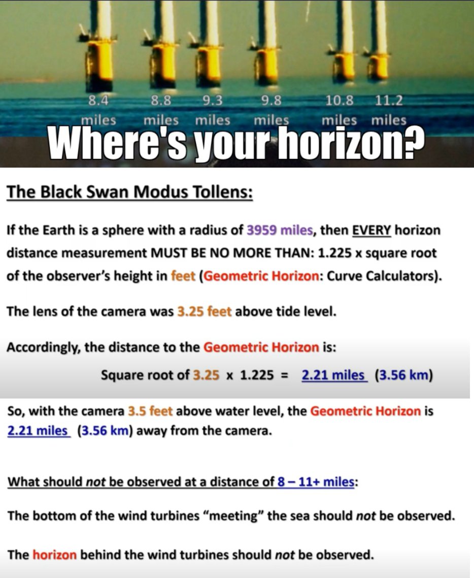 Kiwibuzz tweet media