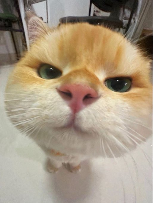 𝐁𝐞𝐧𝐳 tweet media