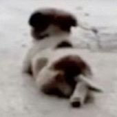 Lipe🦇 tweet media