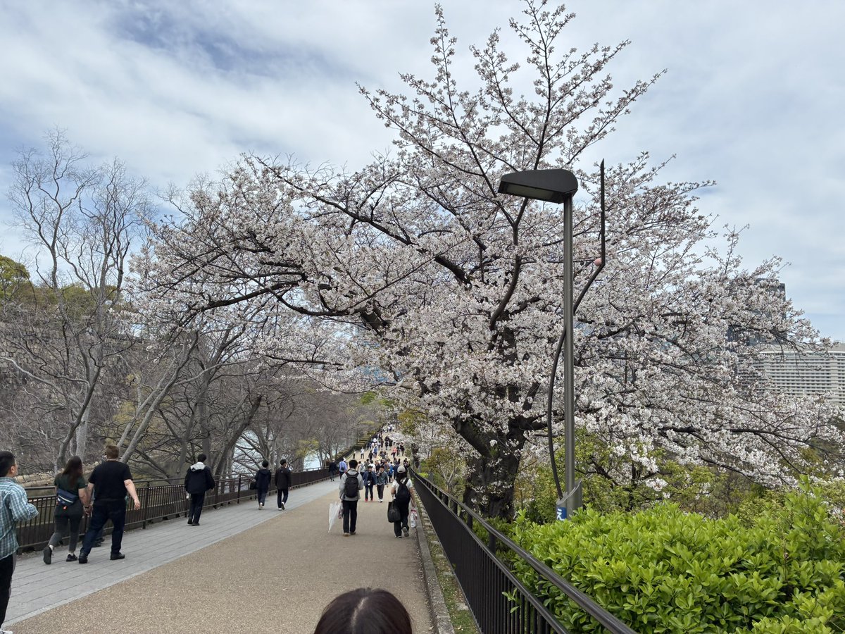 あのんです tweet media