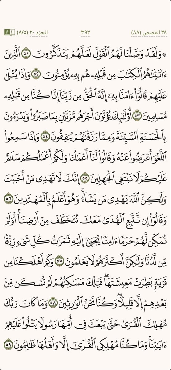 كل يوم صفحة tweet media