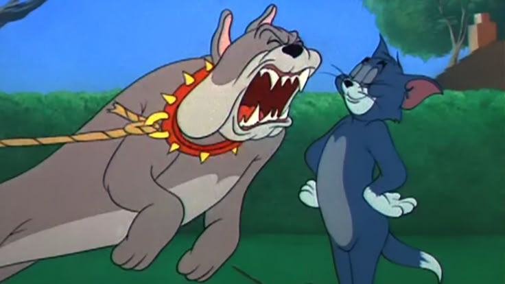 Gà Lê văn tweet media