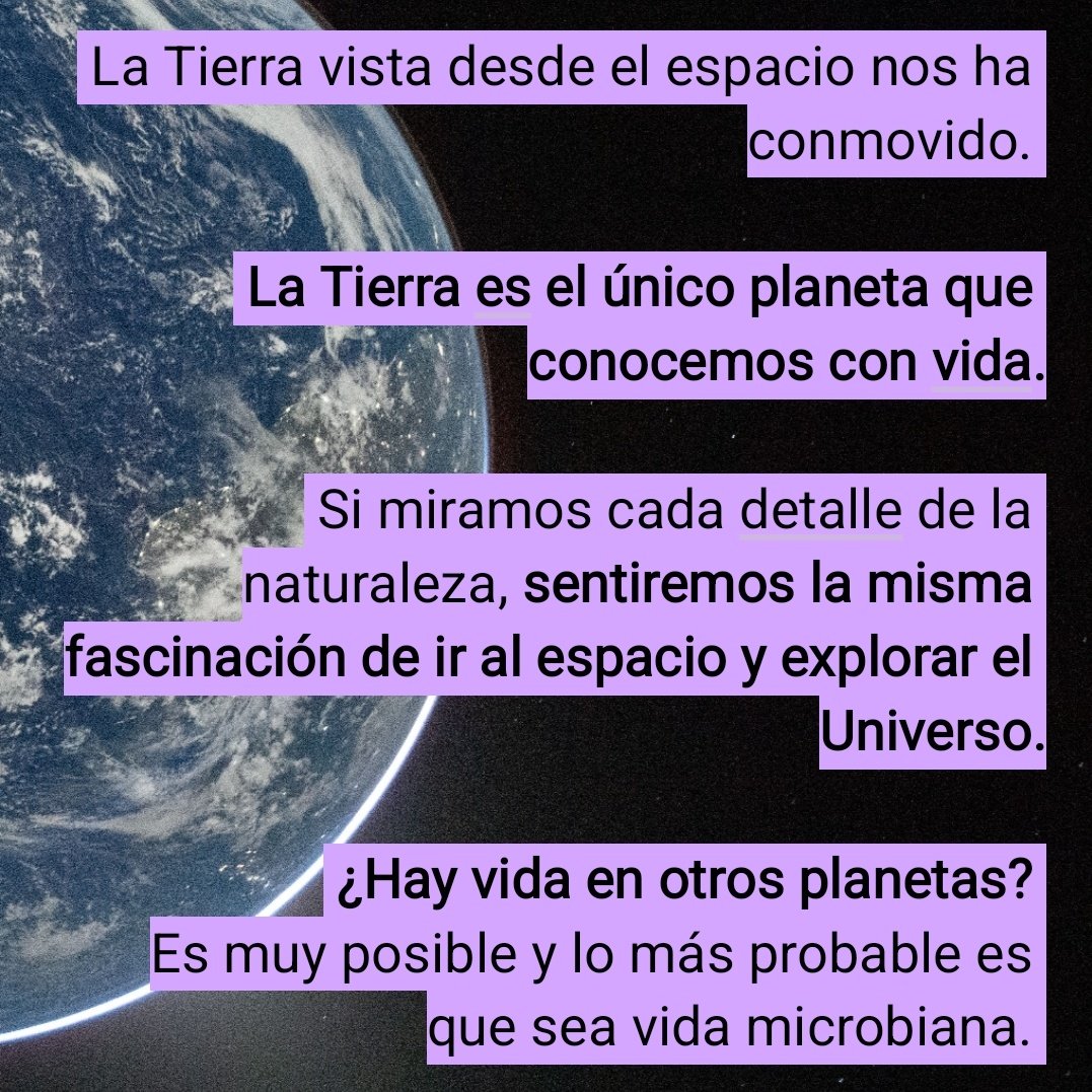 Cristina Dorador Ortiz 🦩 tweet media