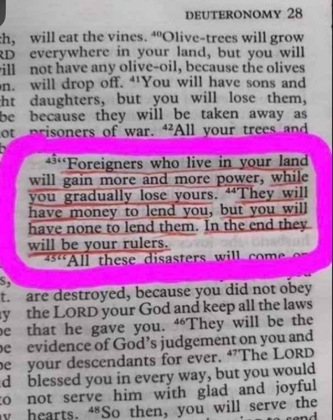 ✠ ᵀʰᵉ ⁼⁼ ᴺᵃʳʳᵒʷ ⁼⁼ ᵂᵃʸ ✠ tweet media