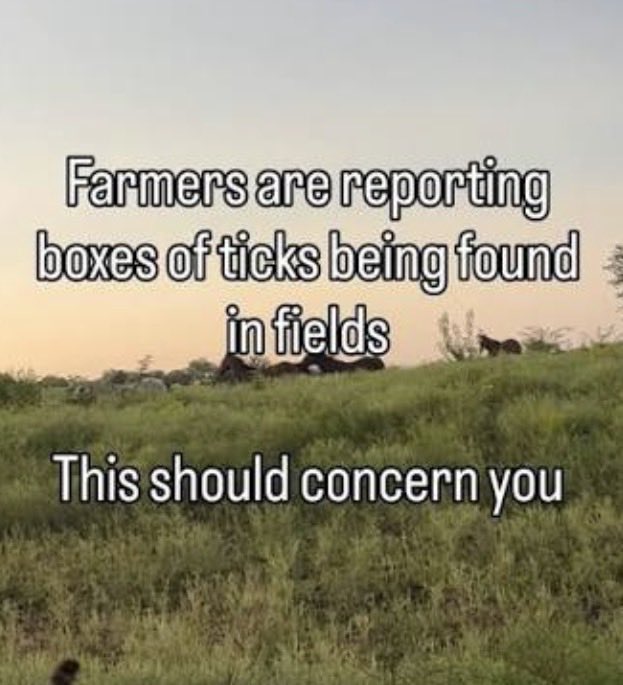 The Beringer Project tweet media