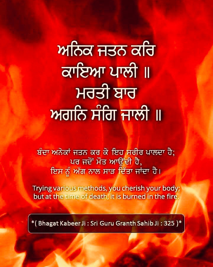 🌹🌹🙏🙏Waheguru ji🙏🙏🌹🌹 #punjab #viral #trending #socialmedia #instagram