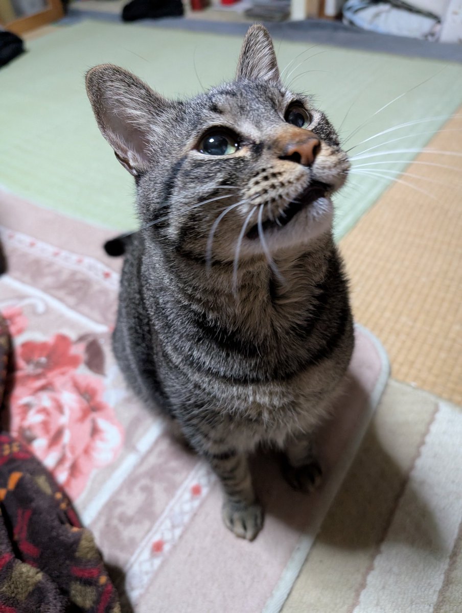 あきよし tweet media