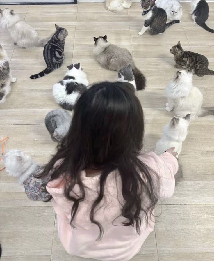 lili ౨ৎ tweet media