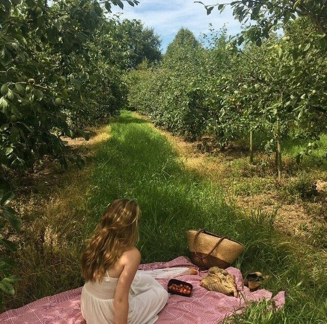 lili ౨ৎ tweet media