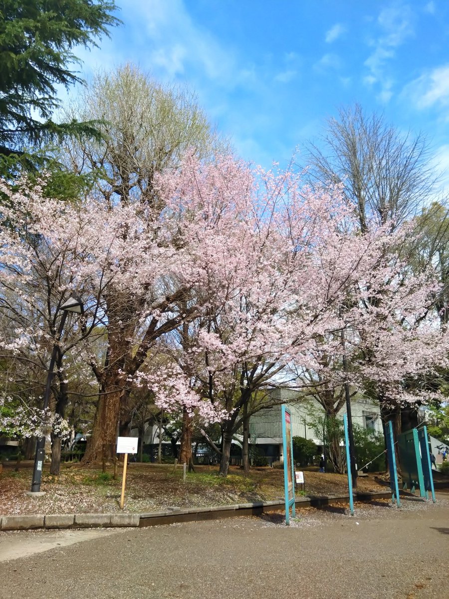 東京都美術館『スウェーデン絵画　北欧の光、日常のかがやき』に行って来ました😊
「エウシェーン王子」が今回の展覧会でスゴい好み😍
エウシェーン王子が王子でありながら、スウェーデン絵画の黄金期を代表とする風景画家
イケおじで絵の才能もあるなんてカッコ良すぎる🥰
#スウェーデン絵画展