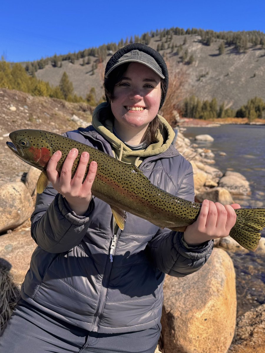 Marlow 🏔️🐾 Critterfolk Plushies 🦊🌱 tweet media