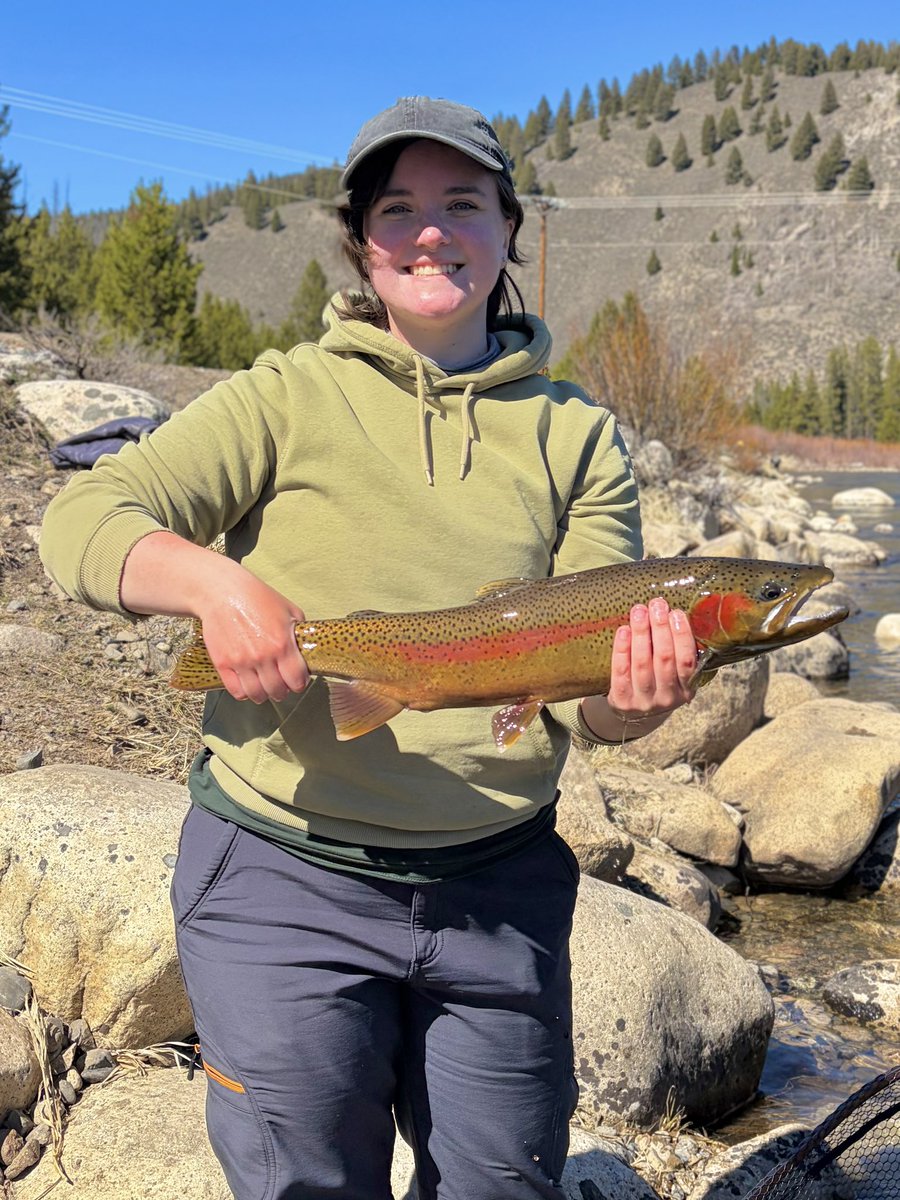 Marlow 🏔️🐾 Critterfolk Plushies 🦊🌱 tweet media