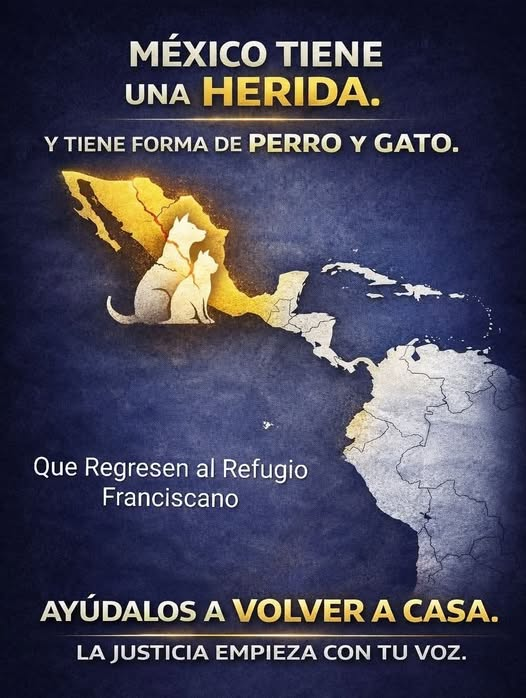 salem saberhagen tweet media