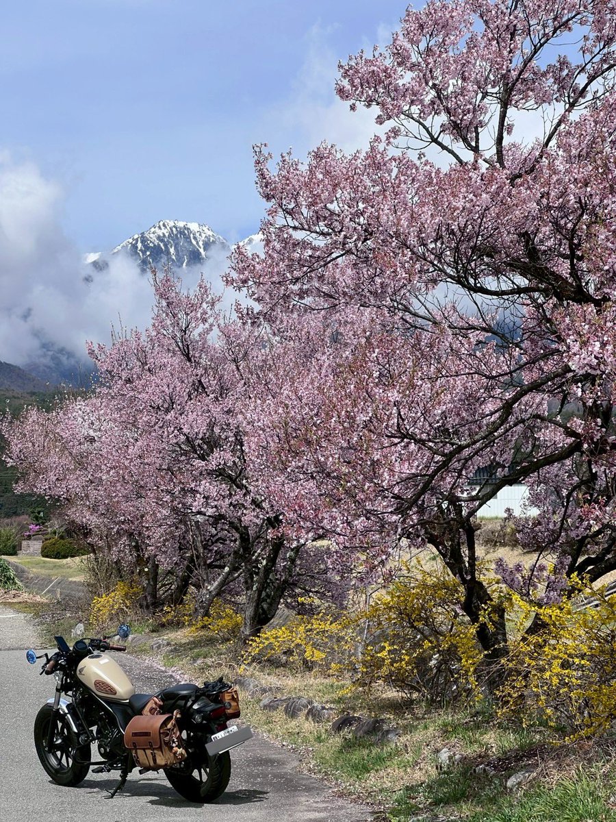 ちーちゃん tweet media