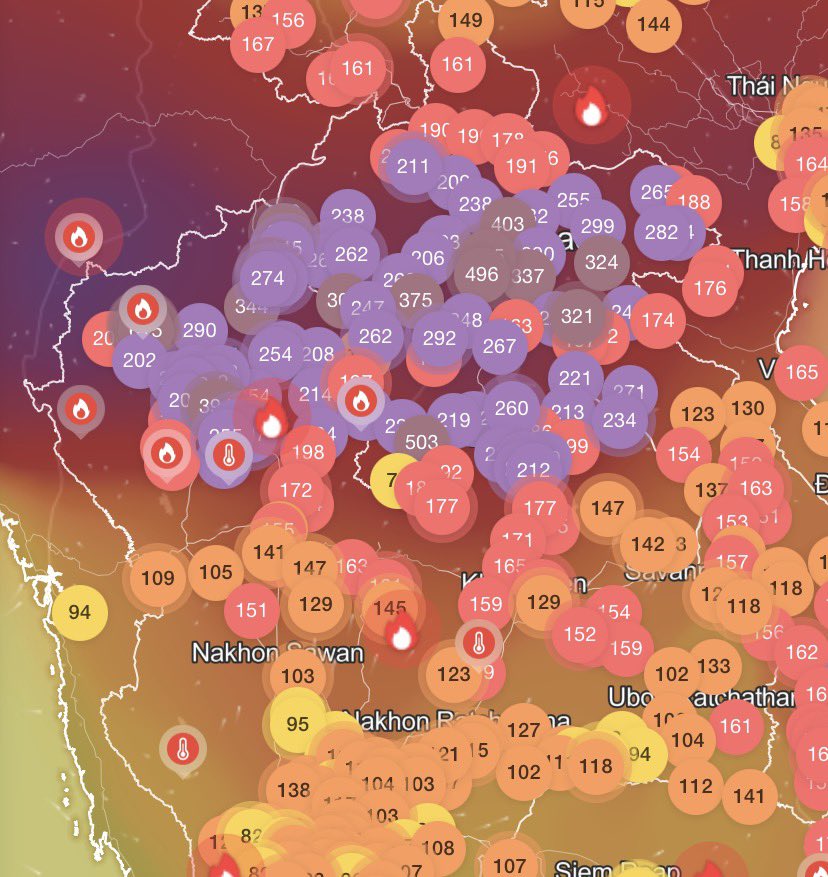 비티 ✿ tweet media