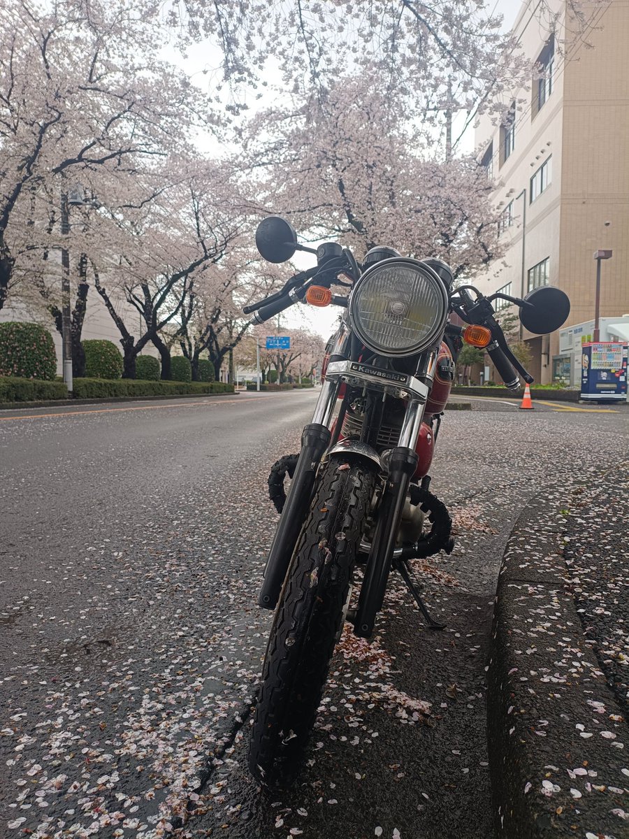 らむ@エストレヤ tweet media