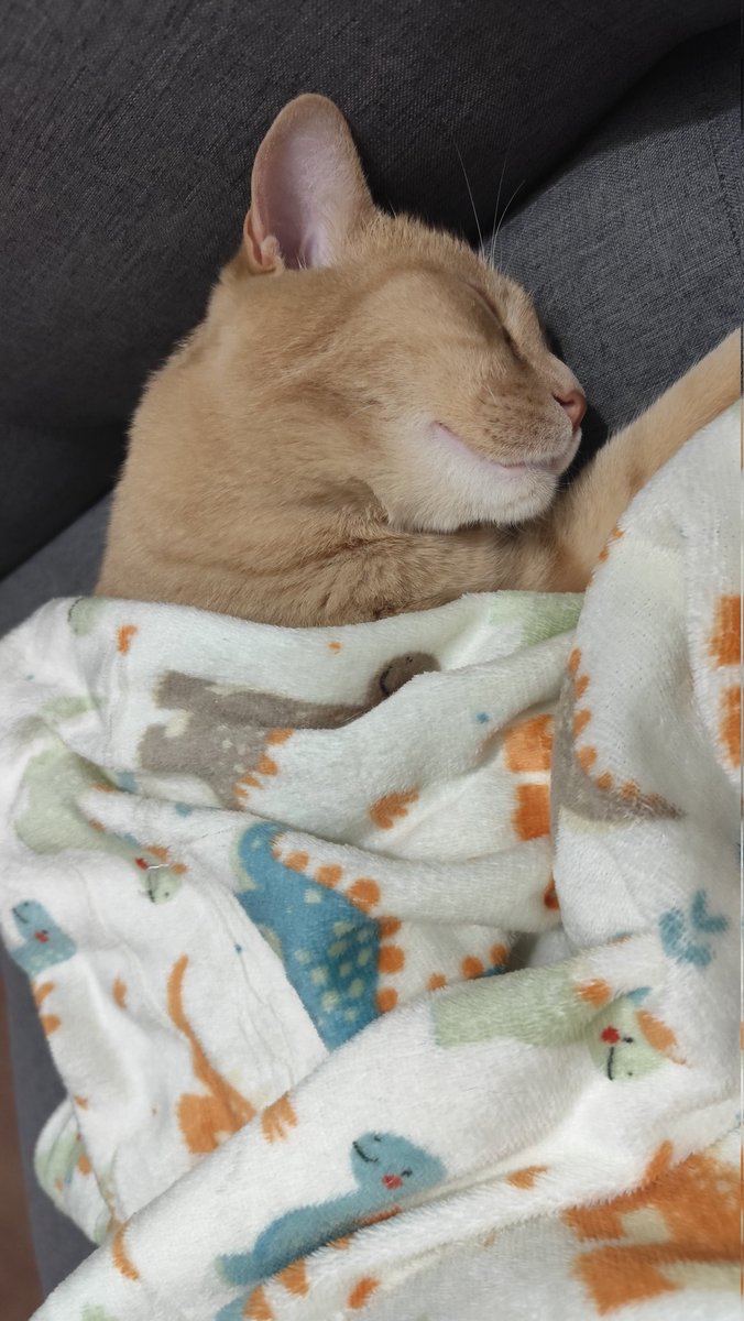 Alejandra. tweet media