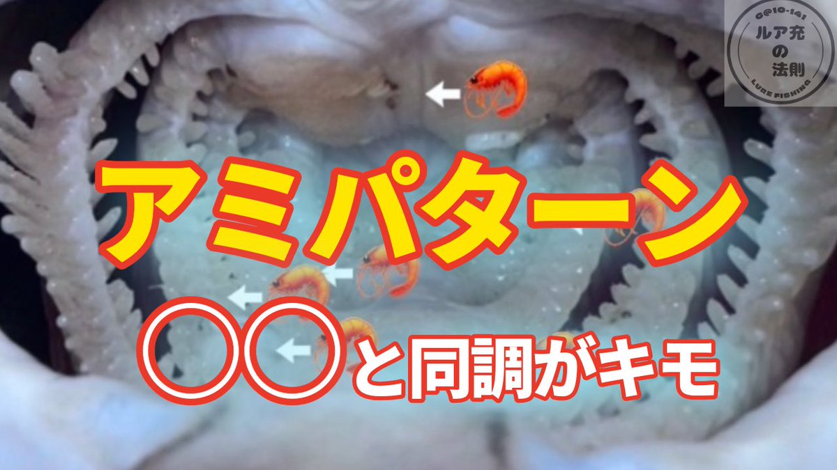 かぢゅ@ルア充の法則（改） tweet media