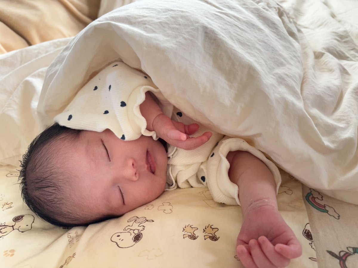 ふうか🐟 tweet media