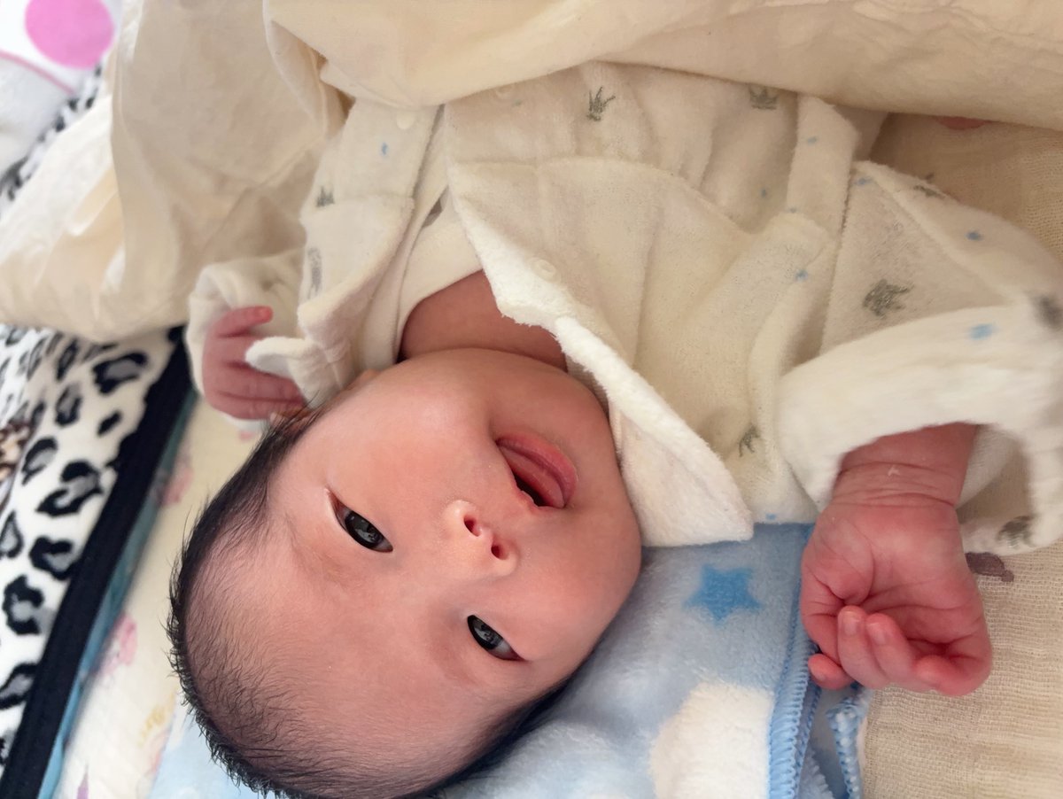 ふうか🐟 tweet media