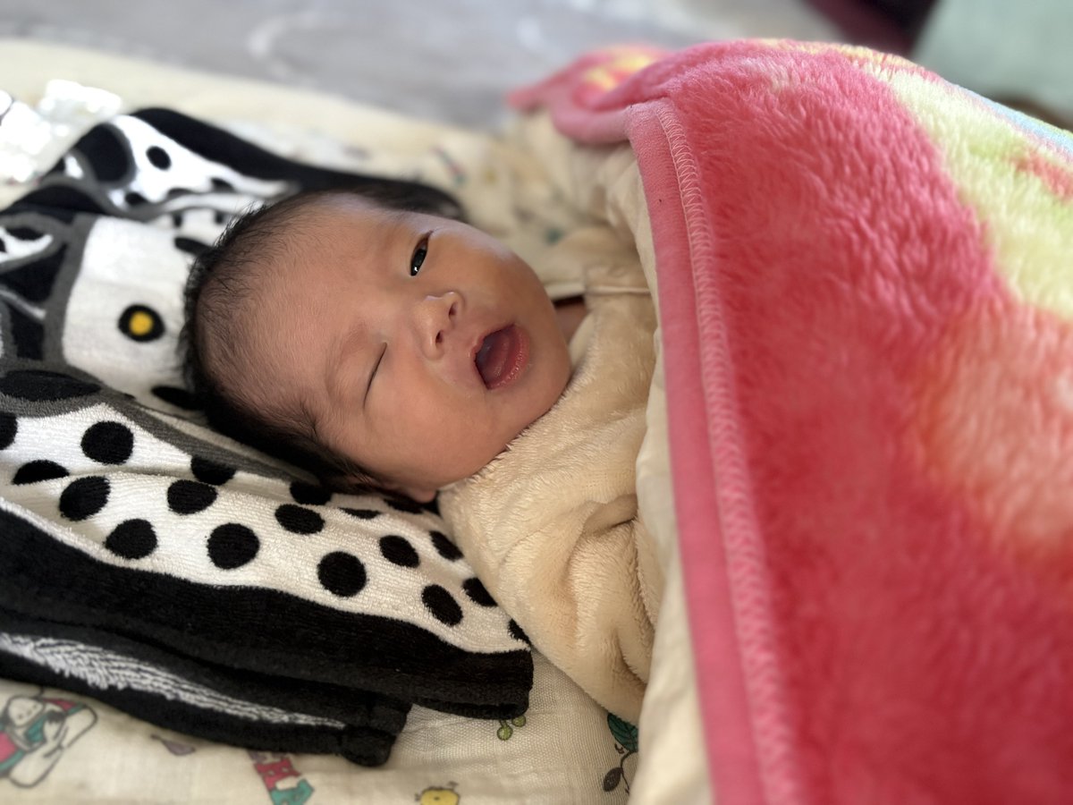 ふうか🐟 tweet media