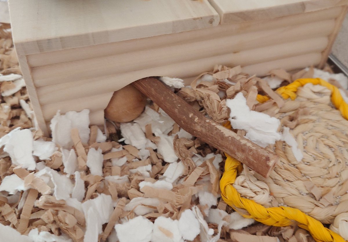 𝒄𝒉𝒂𝒚 tweet media