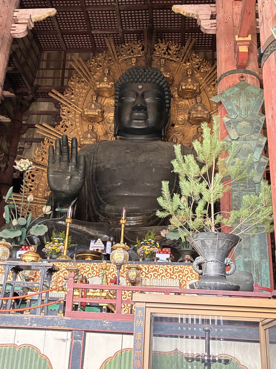 イーロン2号 tweet media