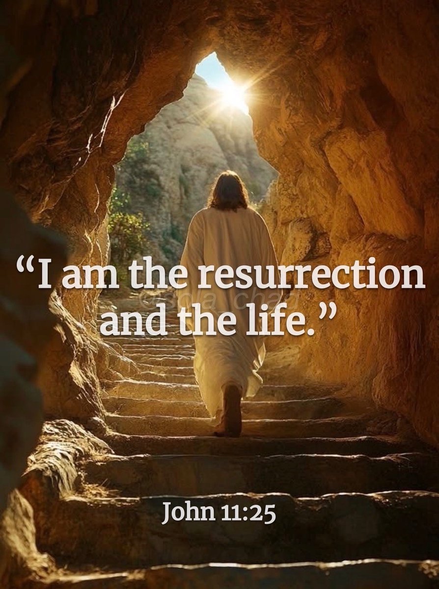 𝕊𝕠𝕝𝕒 ℂ𝕙𝕒𝕕 🎚️ tweet media