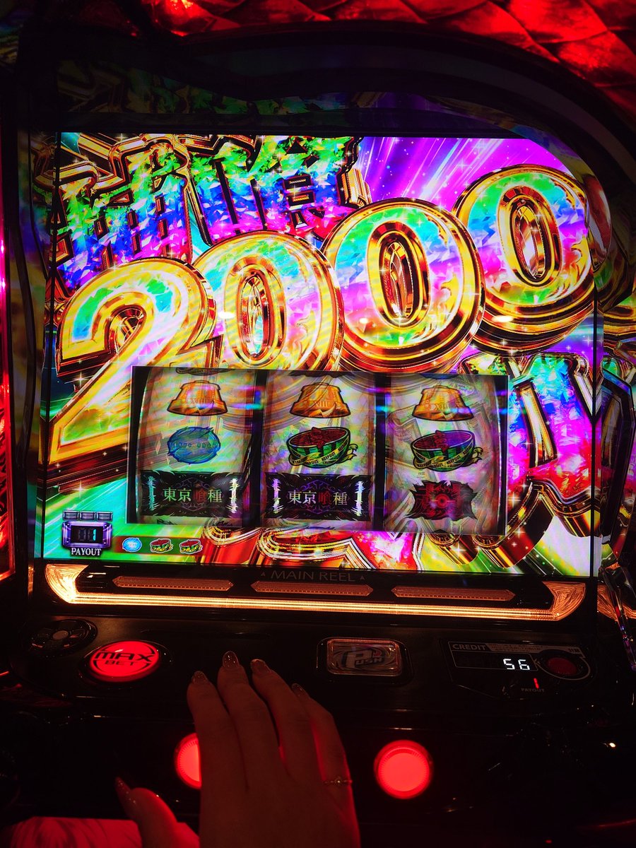 桜キュイン🌸 tweet media