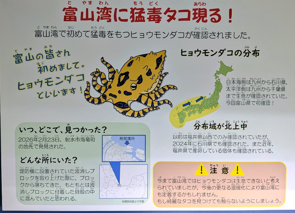 魚津水族館公式 tweet media