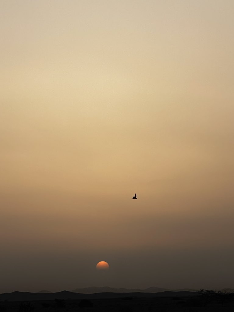 𓅓 بنت الباديه tweet media