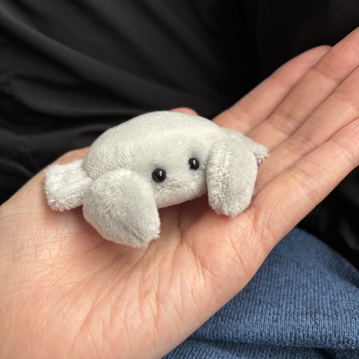 かに玉♋️ tweet media