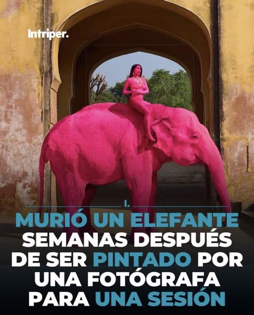 salem saberhagen tweet media