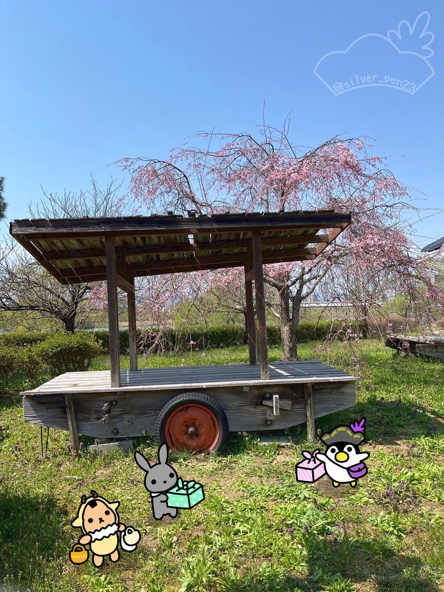 シルバーくん tweet media