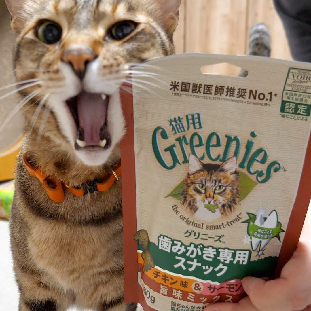 《あつし》@猫と暮らしています tweet media