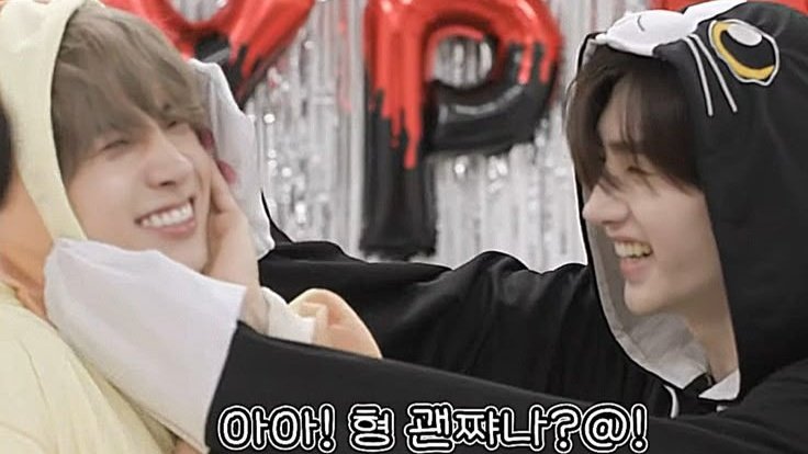 iceanddeer🦌❄ tweet media